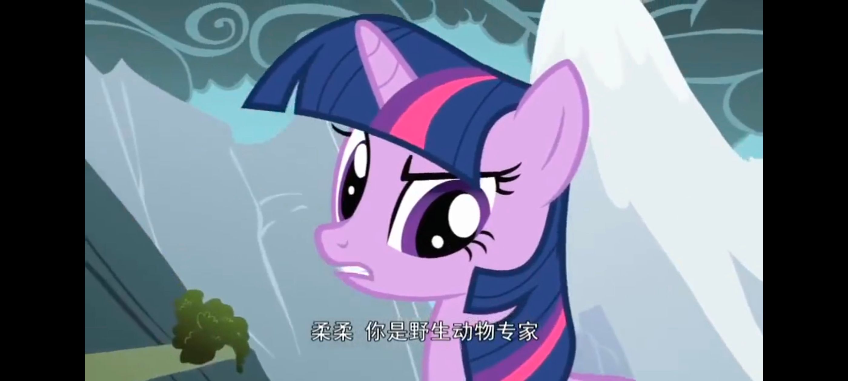 /static/30223da751599566d43635d634f70560790c9200b62f7e426eb409be30a28a5b.jpg