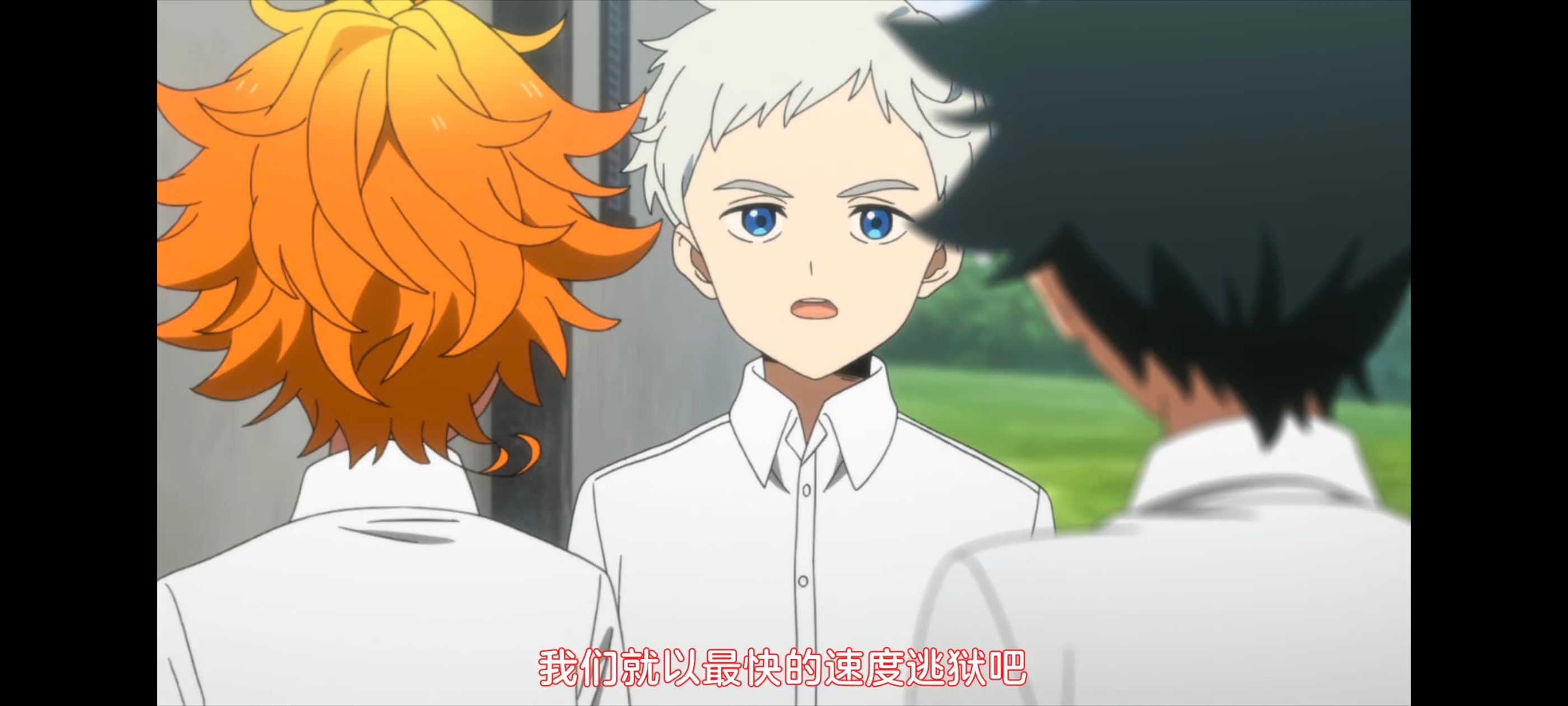 约定的梦幻岛,动画,动漫,番剧,ACG