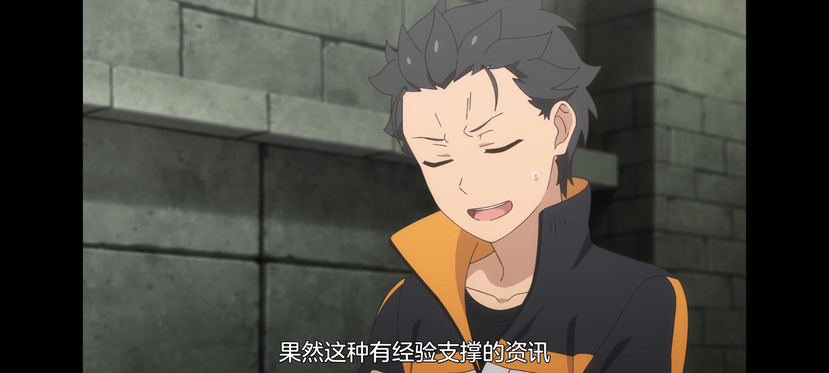 从零开始的异世界生活,动画,动漫,番剧,二次元,ACG