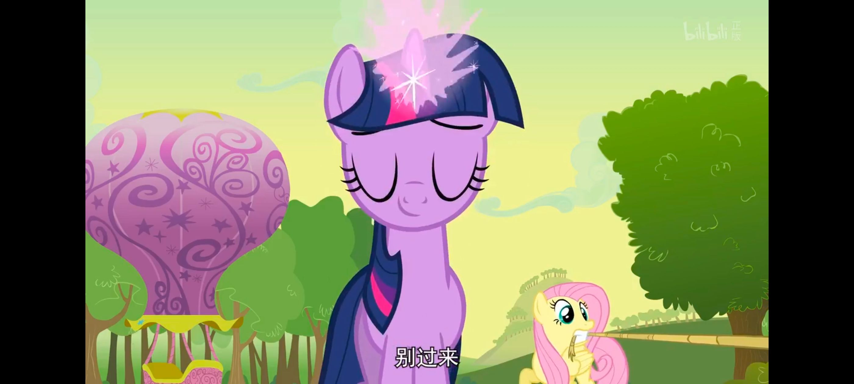 小马宝莉,彩虹小马,我的小马驹,小马宝莉友谊魔法,动漫,动画,番剧,ACG