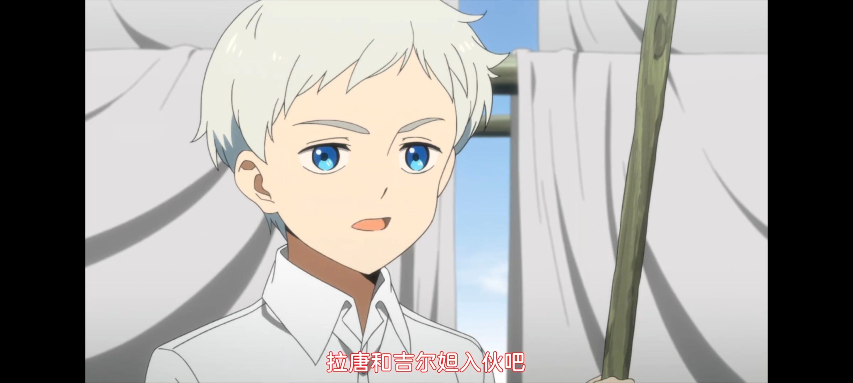 约定的梦幻岛,动画,动漫,番剧,ACG