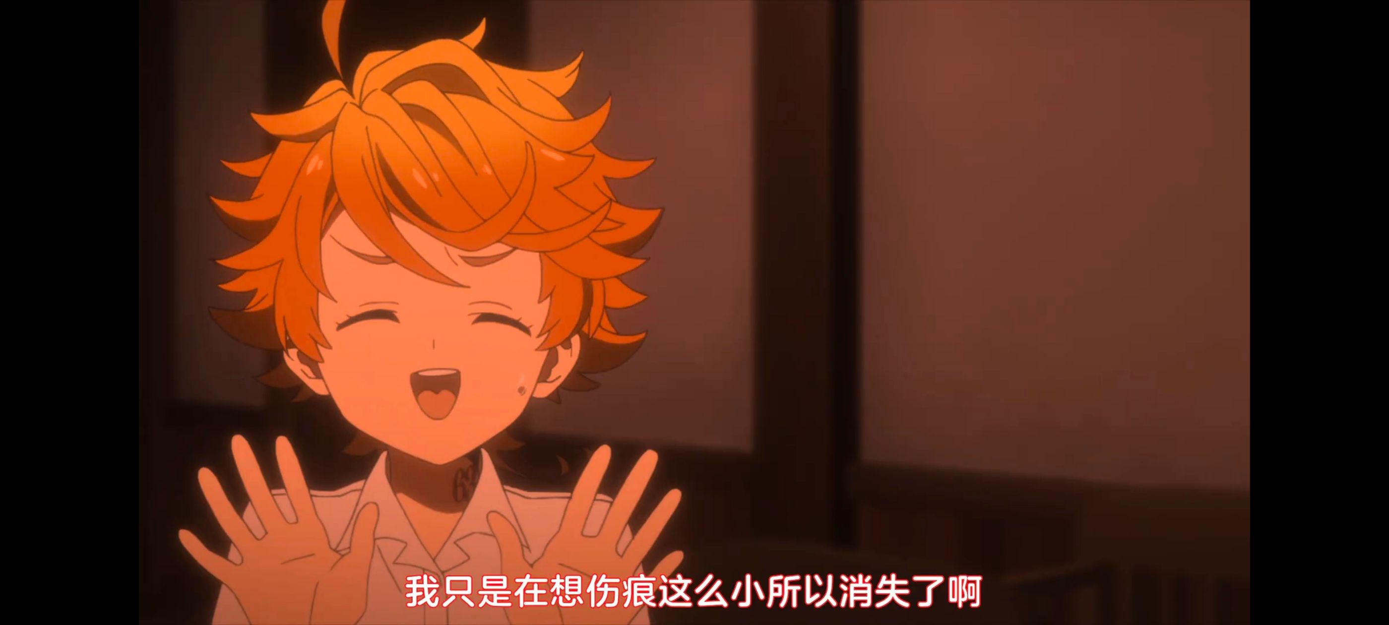 约定的梦幻岛,动画,动漫,番剧,ACG