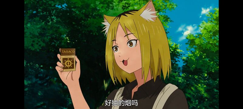 尼古喵喵,雅尼猫,动画,动漫,番剧,日漫,二次元,ACG