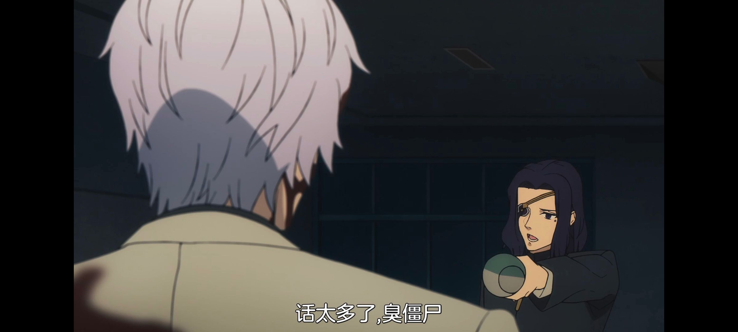 命运奇异赝品,FatestrangeFake,动画,动漫,番剧,ACG