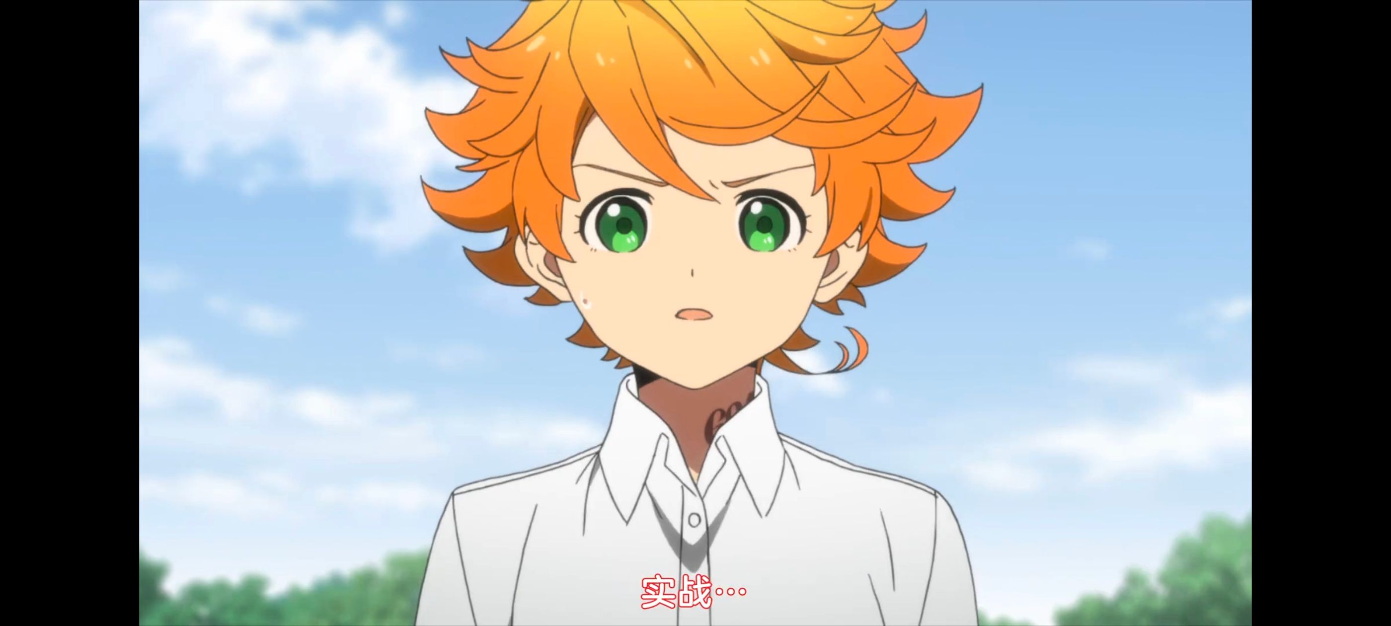 约定的梦幻岛,动画,动漫,番剧,ACG