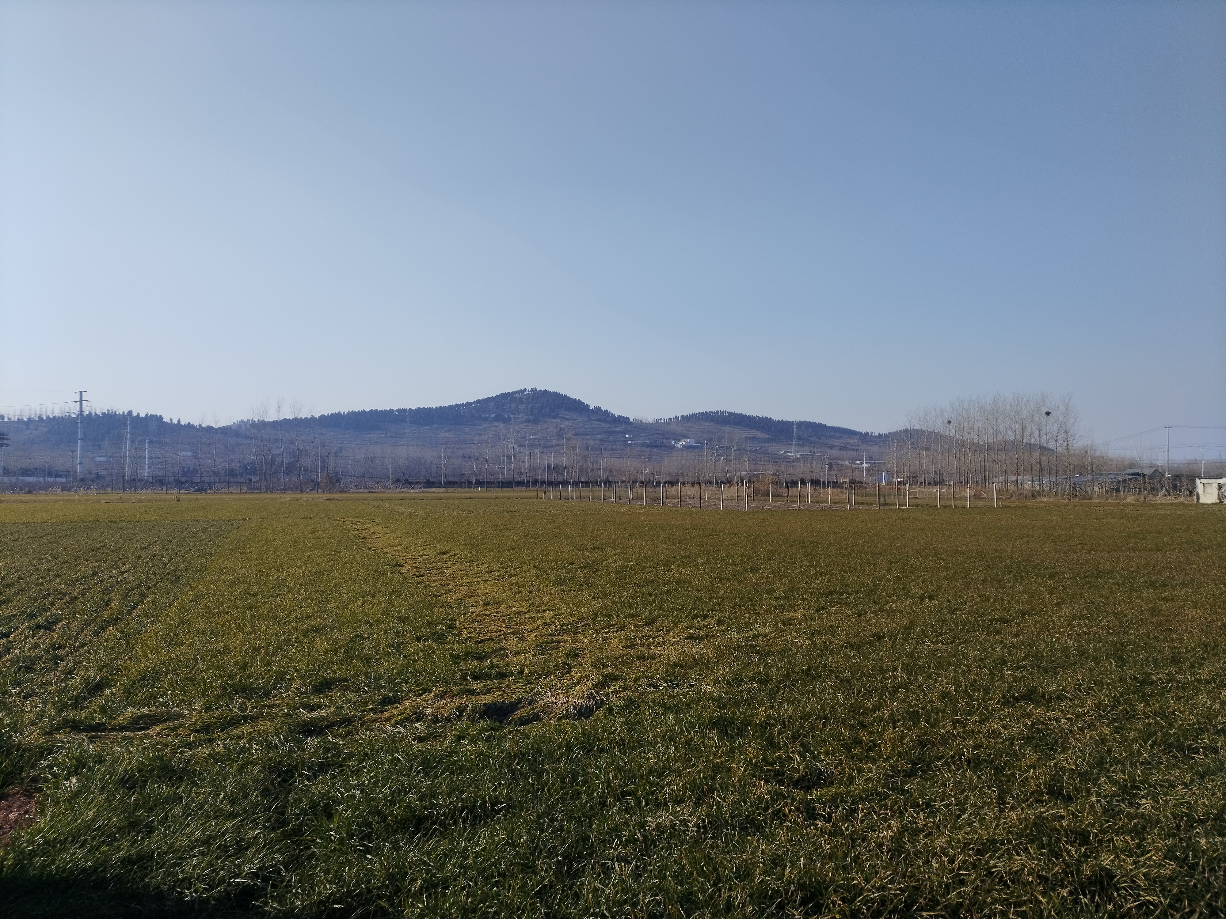 山东,胡言乱语,大地小民
