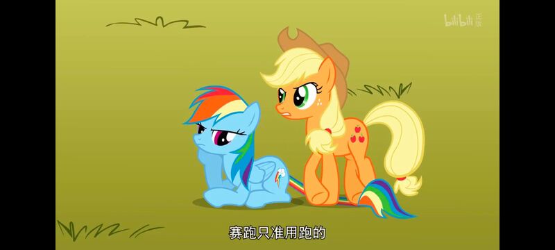 小马宝莉,小马宝莉友谊魔法,彩虹小马,我的小马驹,动画,动漫,番剧,ACG