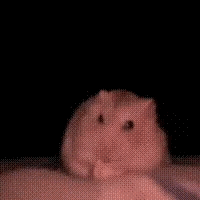 梗图,meme,动图,GIF