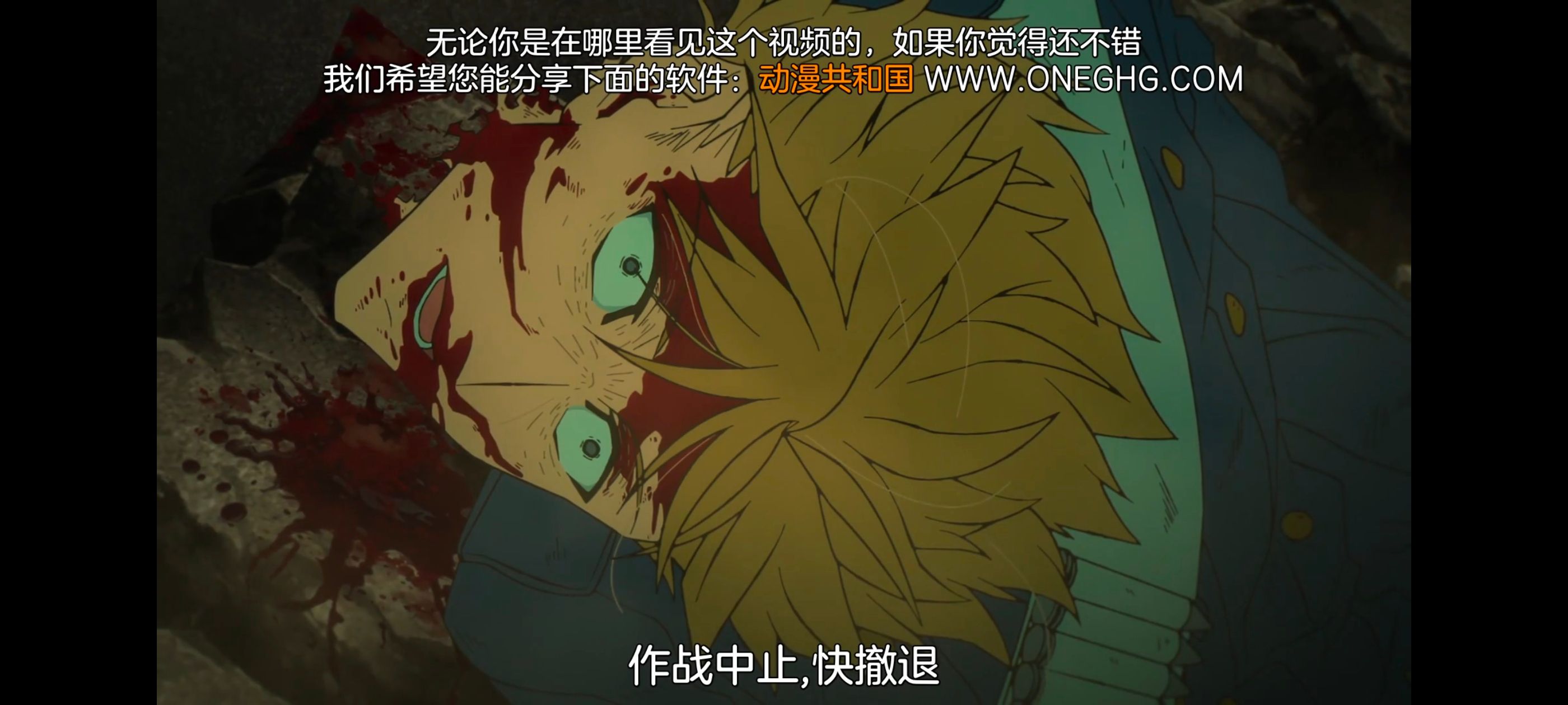 命运奇异赝品,FATE,FatestrangeFake,动画,动漫,番剧,二次元,ACG
