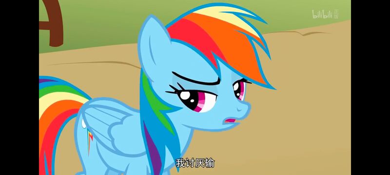 小马宝莉,小马宝莉友谊魔法,彩虹小马,我的小马驹,动画,动漫,番剧,ACG
