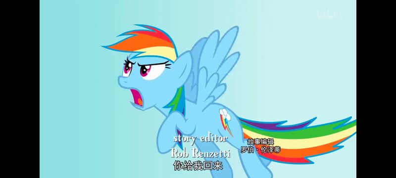 小马宝莉,小马宝莉友谊魔法,彩虹小马,我的小马驹,动画,动漫,番剧,ACG