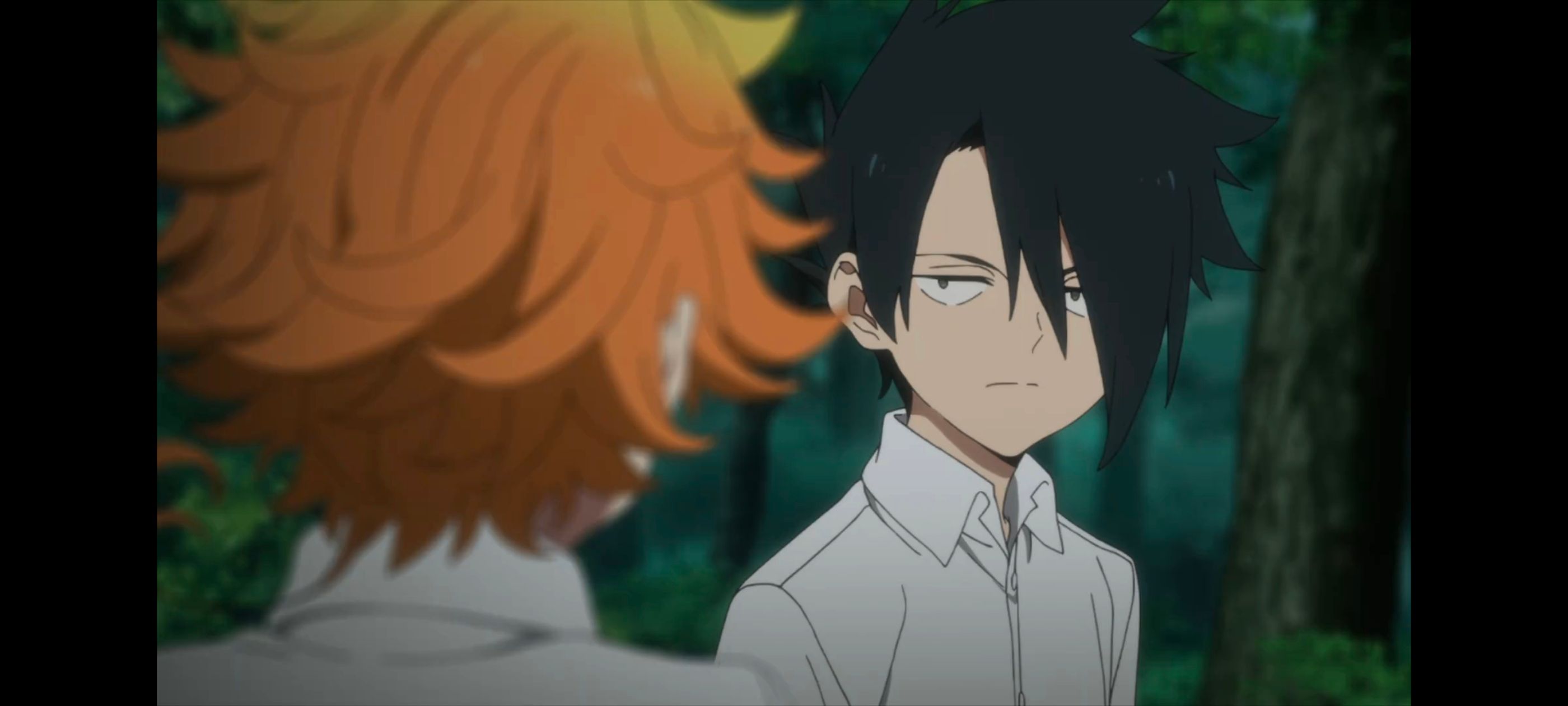 约定的梦幻岛,动画,动漫,番剧,ACG