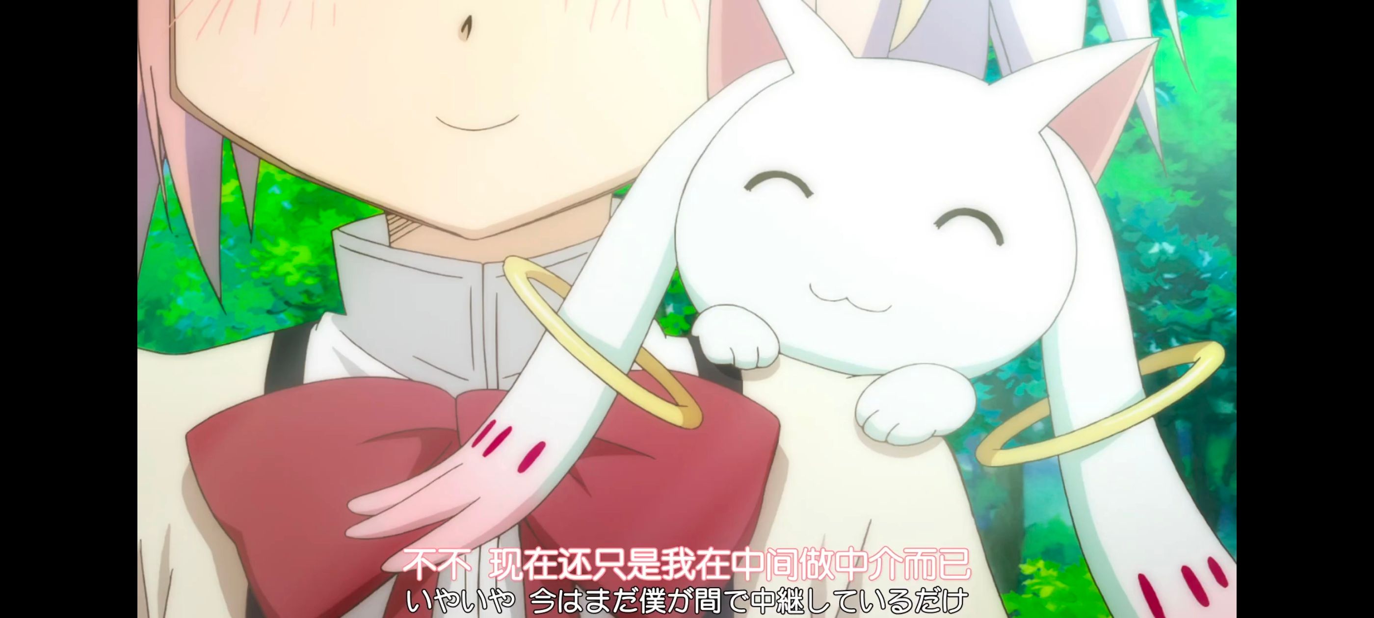 魔法少女小圆,魔法少女,动漫,动画,番剧,ACG