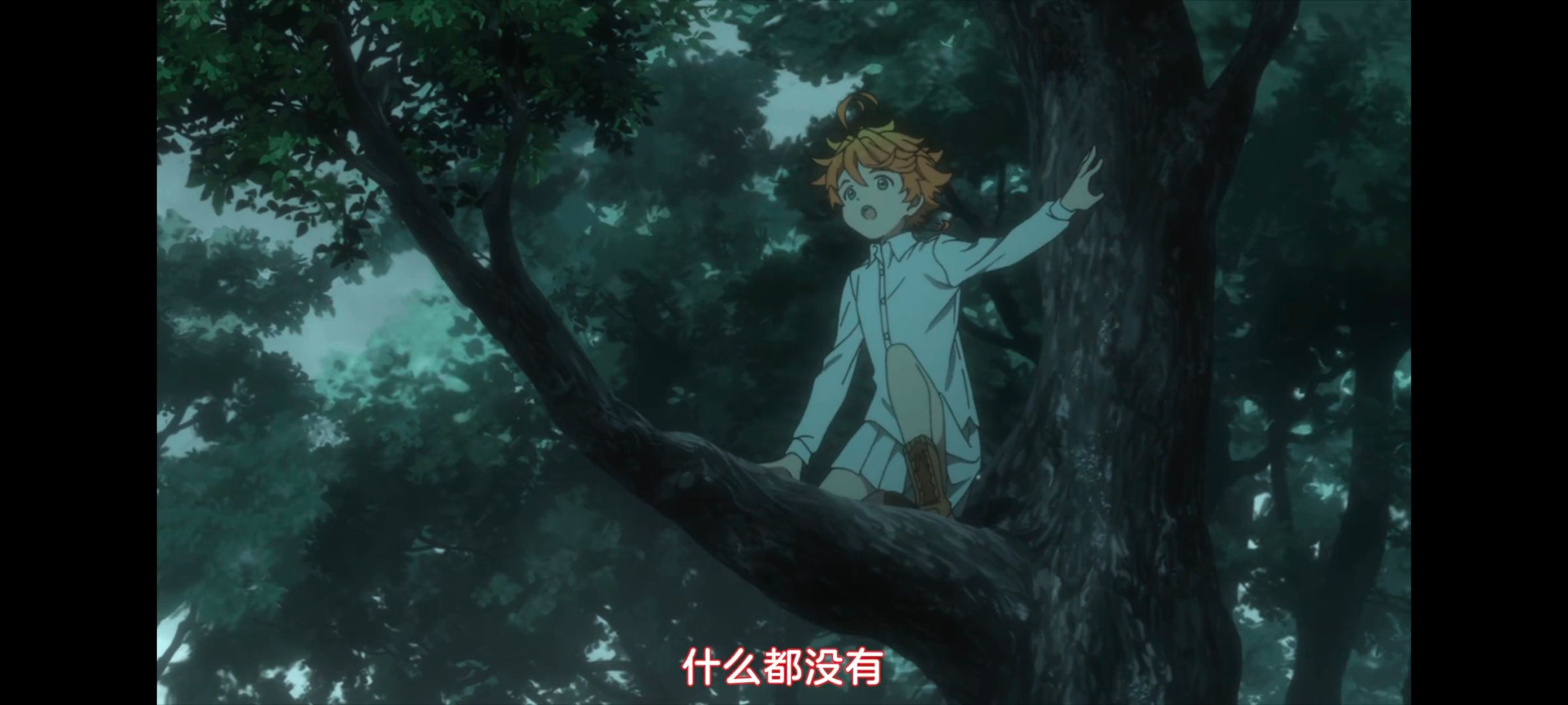 约定的梦幻岛,动画,动漫,番剧,ACG