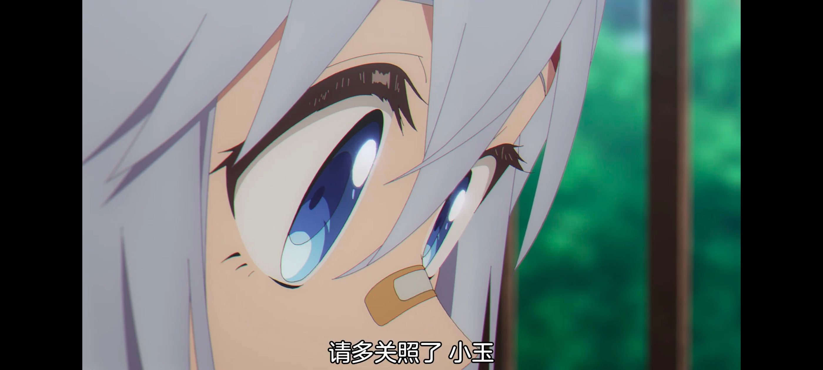 赛马娘,赛马娘PrettyDreby,芦毛灰姑娘,赛马娘芦毛灰姑娘,动画,动漫,番剧,ACG