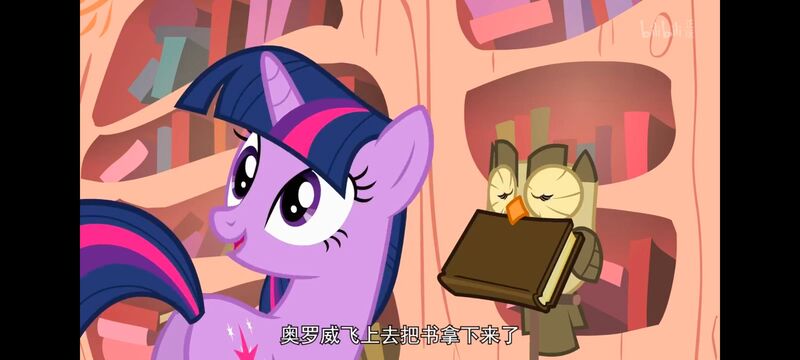 小马宝莉,彩虹小马,我的小马驹,动画,动漫,番剧,ACG,小马宝莉友谊魔法