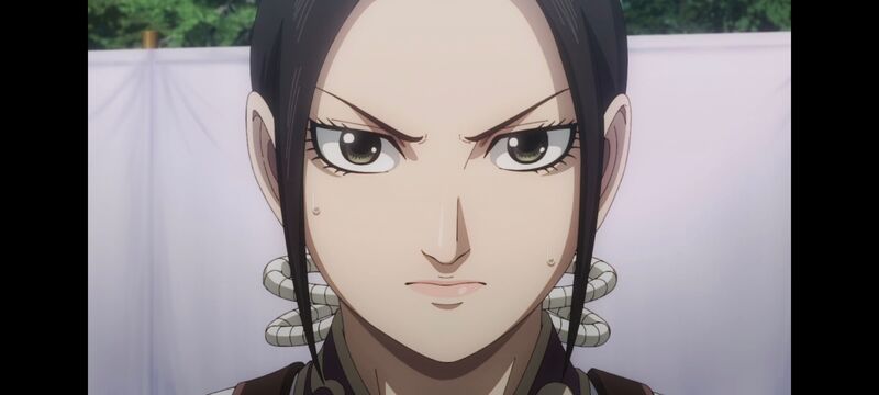 王者天下,动画,动漫,番剧,ACG