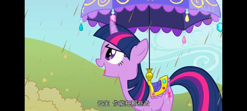 小马宝莉,小马宝莉友谊魔法,彩虹小马,我的小马驹,动画,动漫,番剧,ACG