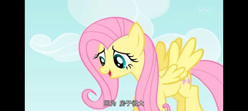 小马宝莉,小马宝莉友谊魔法,彩虹小马,我的小马驹,动画,动漫,番剧,ACG