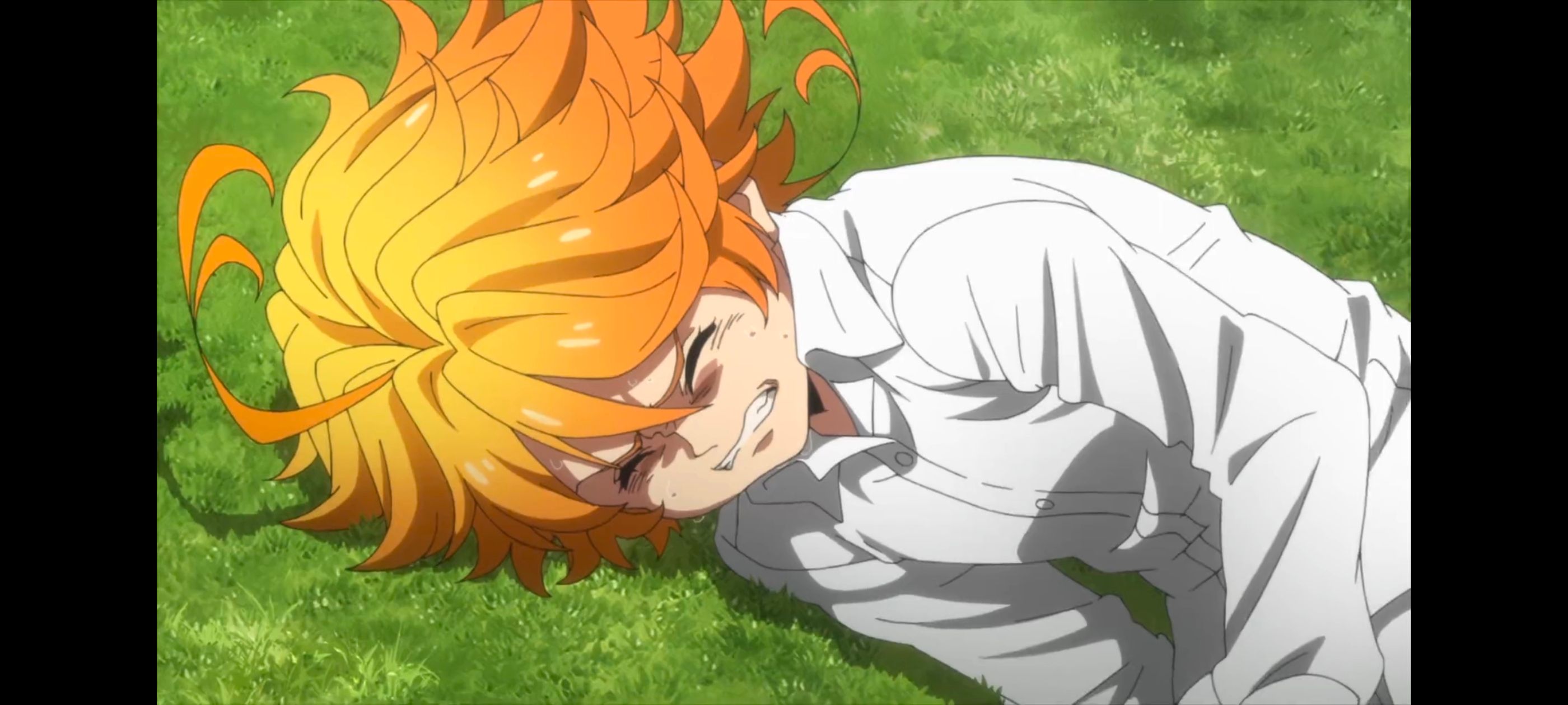 约定的梦幻岛,动画,动漫,番剧,二次元,ACG