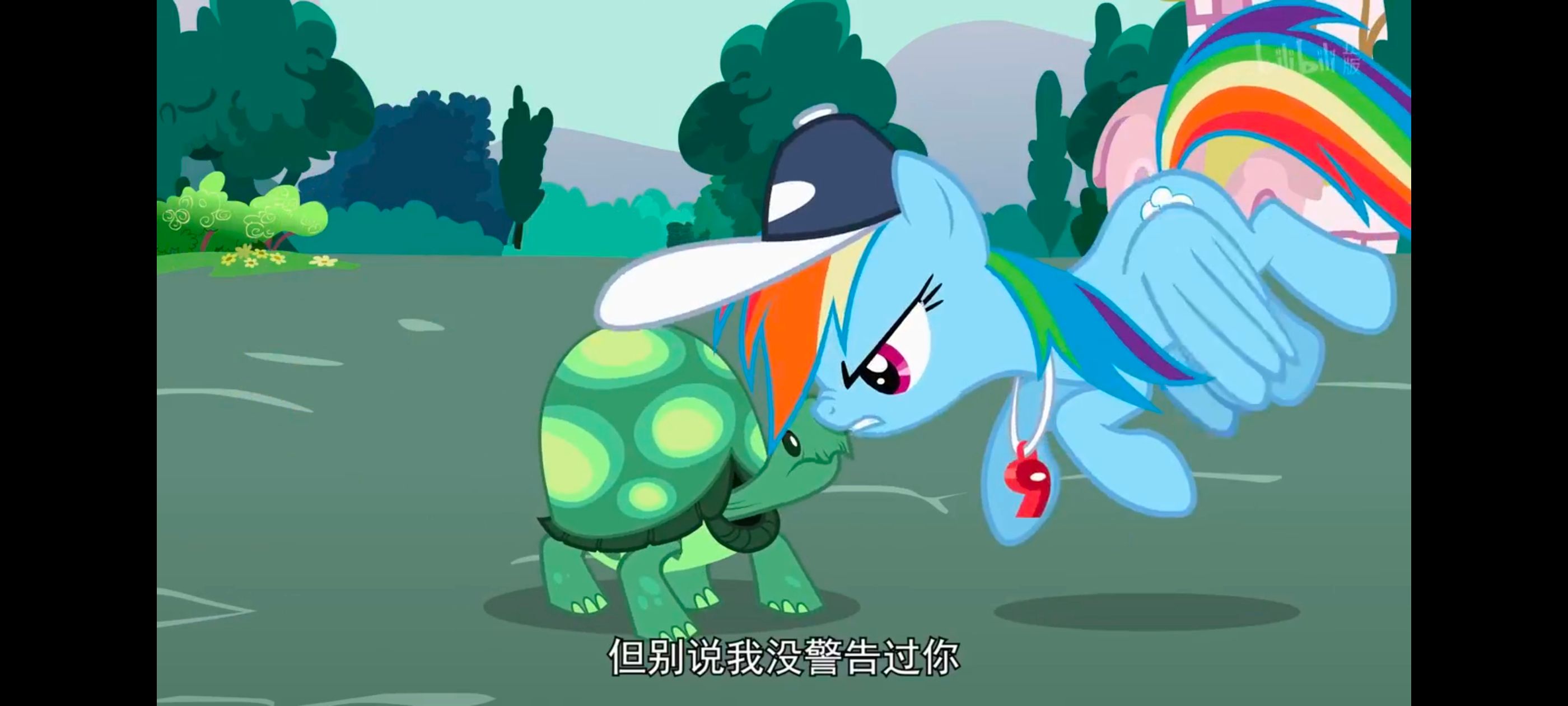 小马宝莉,彩虹小马,我的小马驹,动画,动漫,番剧,二次元,ACG