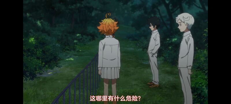 约定的梦幻岛,动画,动漫,番剧,ACG