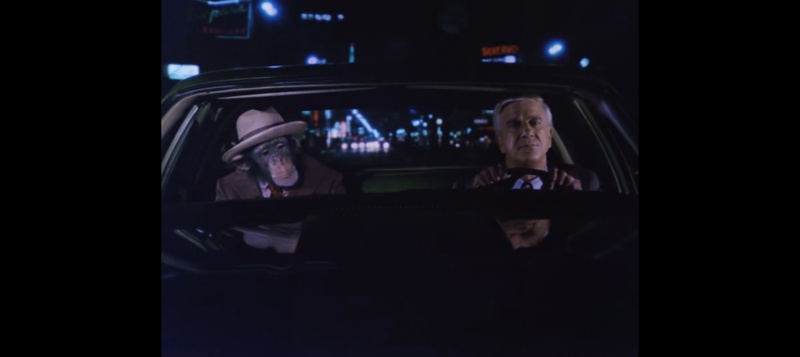 电视剧,文章,观后感,白头神探,Police Squad,in color,特警队,警察小队