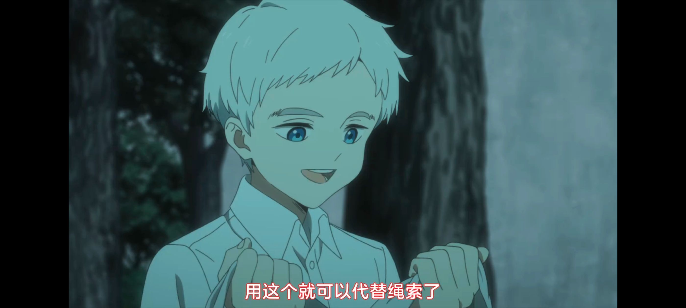 约定的梦幻岛,动画,动漫,番剧,ACG