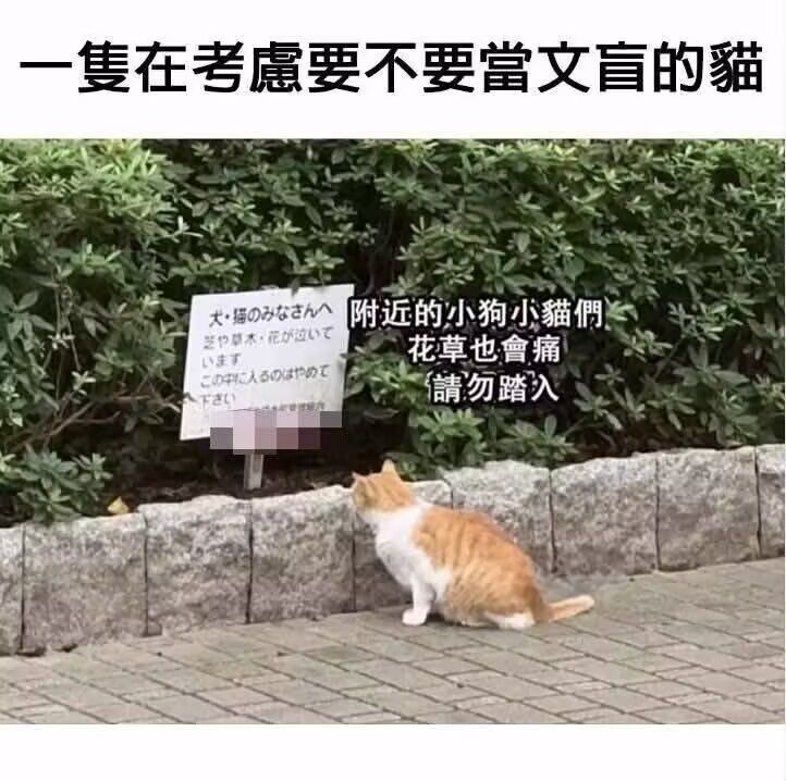 /static/32be84a72fa4ed7b9fe0001cc2831e780f8a3e3fa9a631ca003e35369cb41527.jpg
