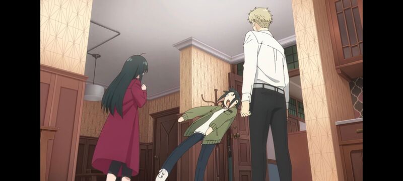 间谍过家家,SPYFAMILY,动画,动漫,番剧,ACG