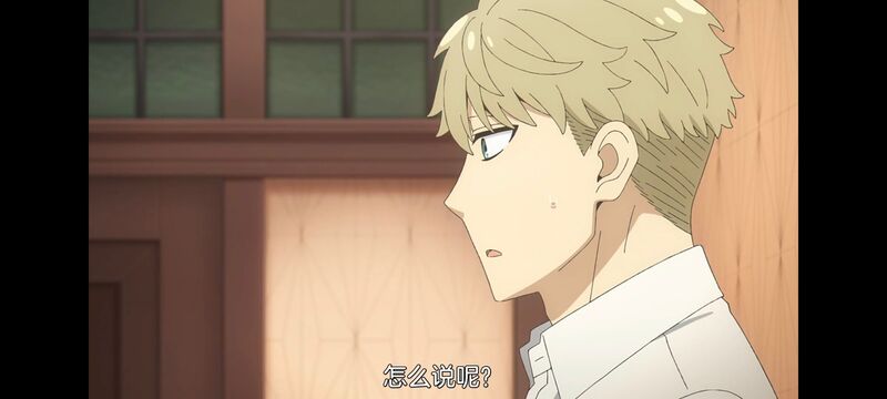 间谍过家家,SPYFAMILY,动画,动漫,番剧,ACG