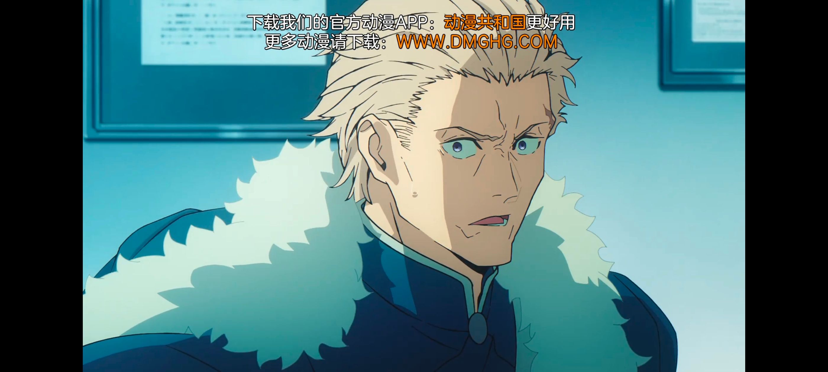 命运奇异赝品,FatestrangeFake,FATE,动画,动漫,番剧,二次元,ACG