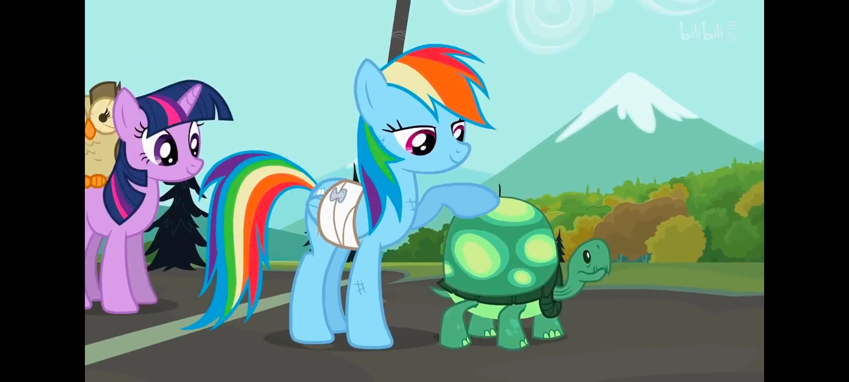 小马宝莉,彩虹小马,我的小马驹,动画,动漫,番剧,二次元,ACG