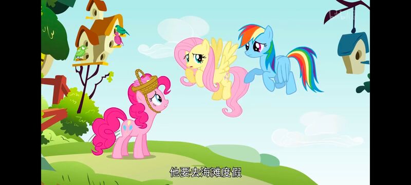 小马宝莉,小马宝莉友谊魔法,彩虹小马,我的小马驹,动画,动漫,番剧,ACG