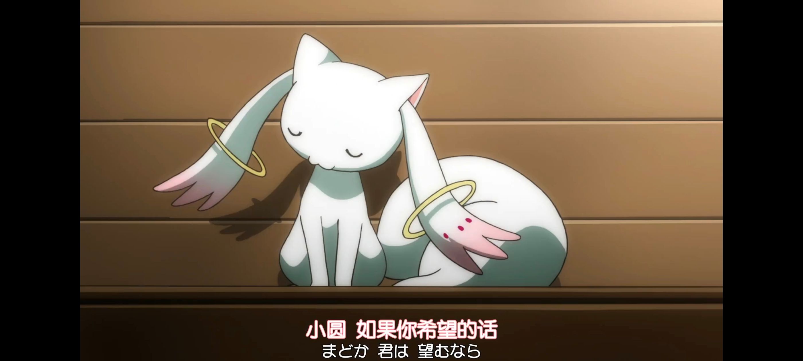 魔法少女小圆,魔法少女,动画,动漫,番剧,二次元,ACG