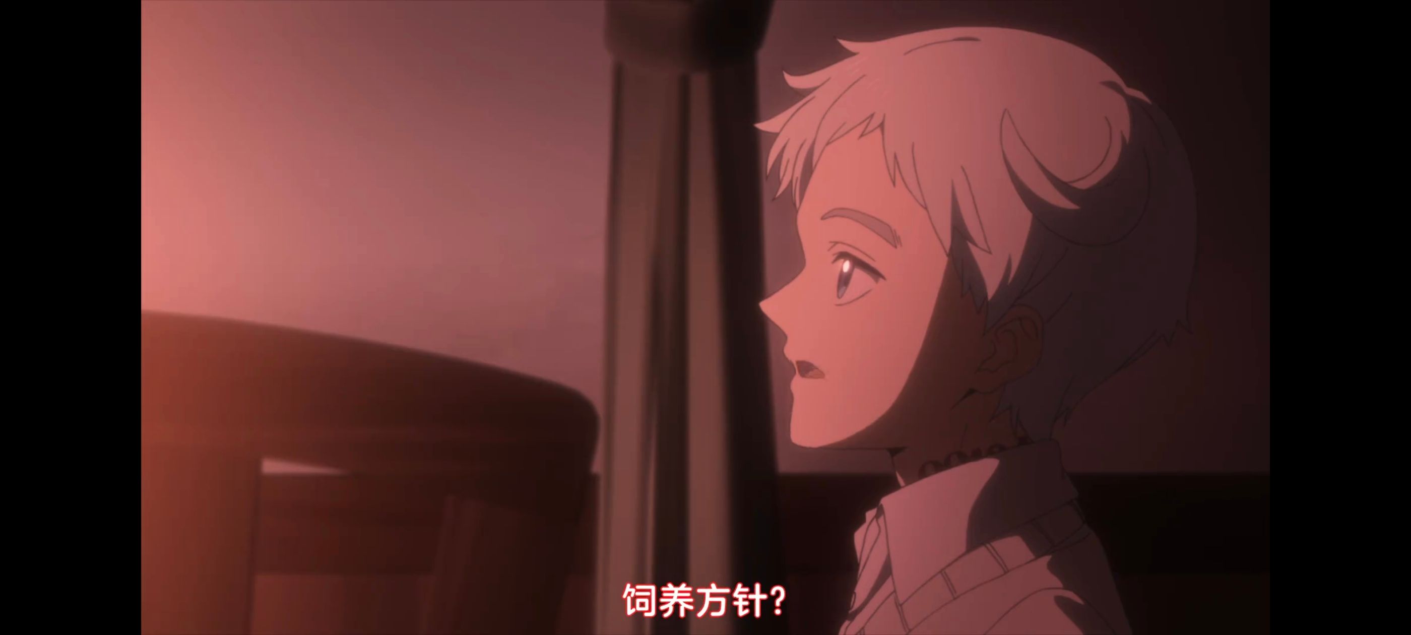 约定的梦幻岛,动画,动漫,番剧,二次元,ACG