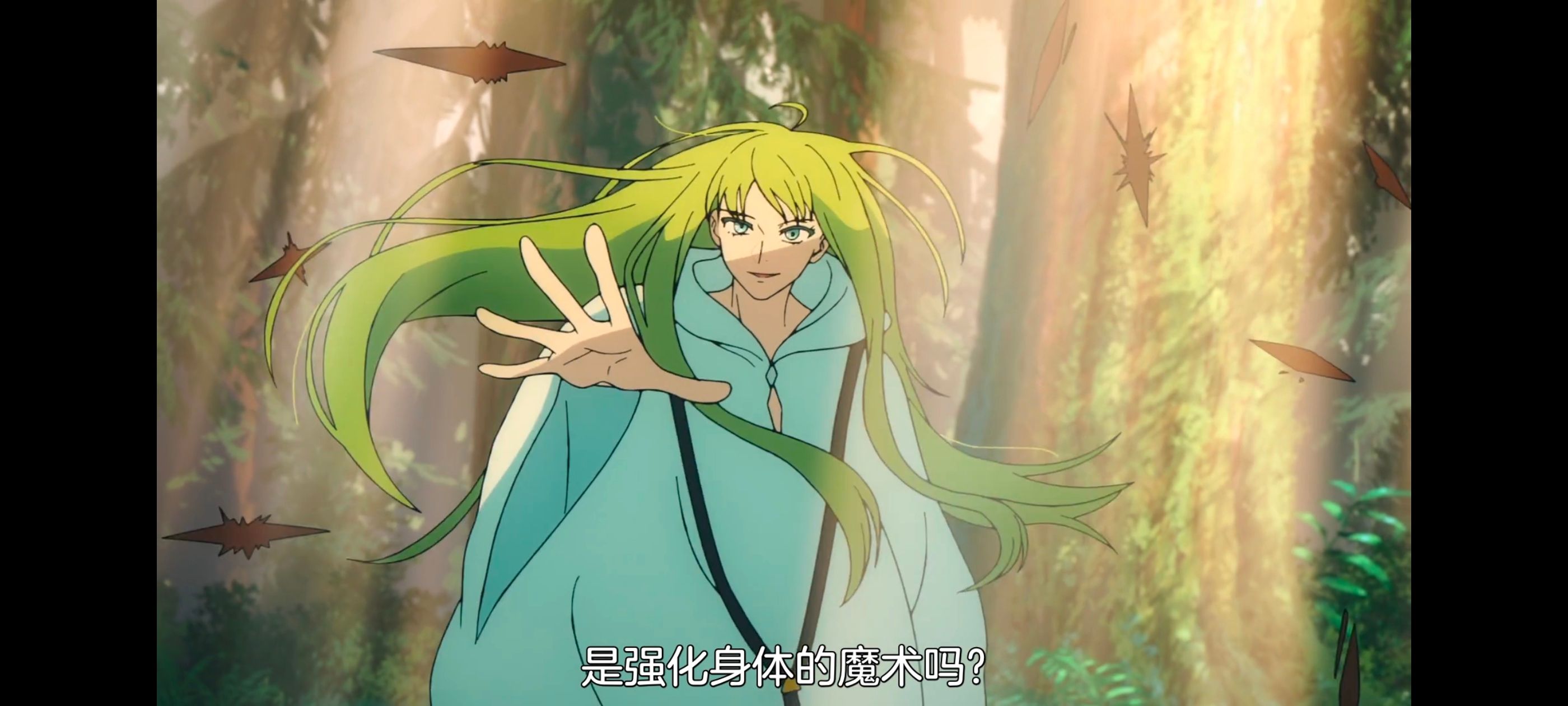 命运奇异赝品,FatestrangeFake,动画,动漫,番剧,ACG