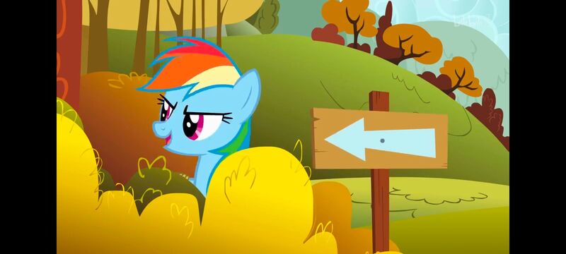 小马宝莉,小马宝莉友谊魔法,彩虹小马,我的小马驹,动画,动漫,番剧,ACG