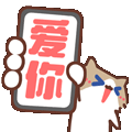 表情包,月薪喵,哈基米,猫meme,猫咪表情包,治愈表情包,温馨表情包