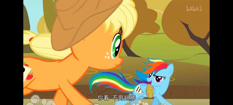 小马宝莉,小马宝莉友谊魔法,彩虹小马,我的小马驹,动画,动漫,番剧,ACG