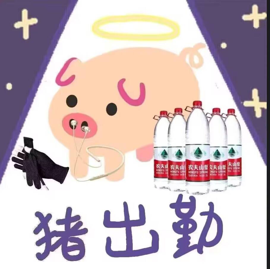 猪,猪猪,表情包