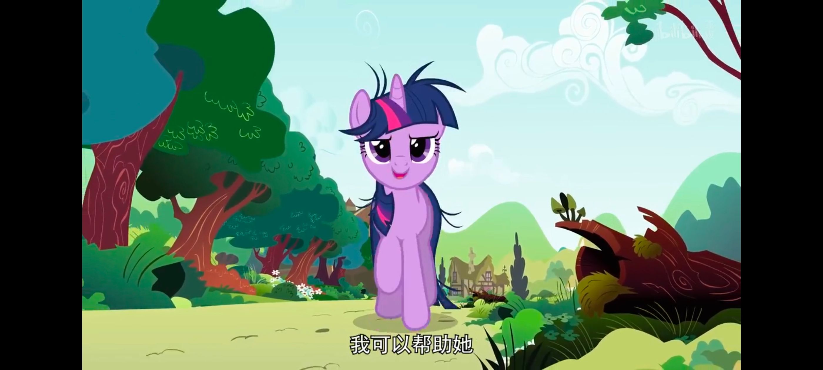 小马宝莉,小马宝莉友谊魔法,彩虹小马,我的小马驹,动画,动漫,番剧,ACG