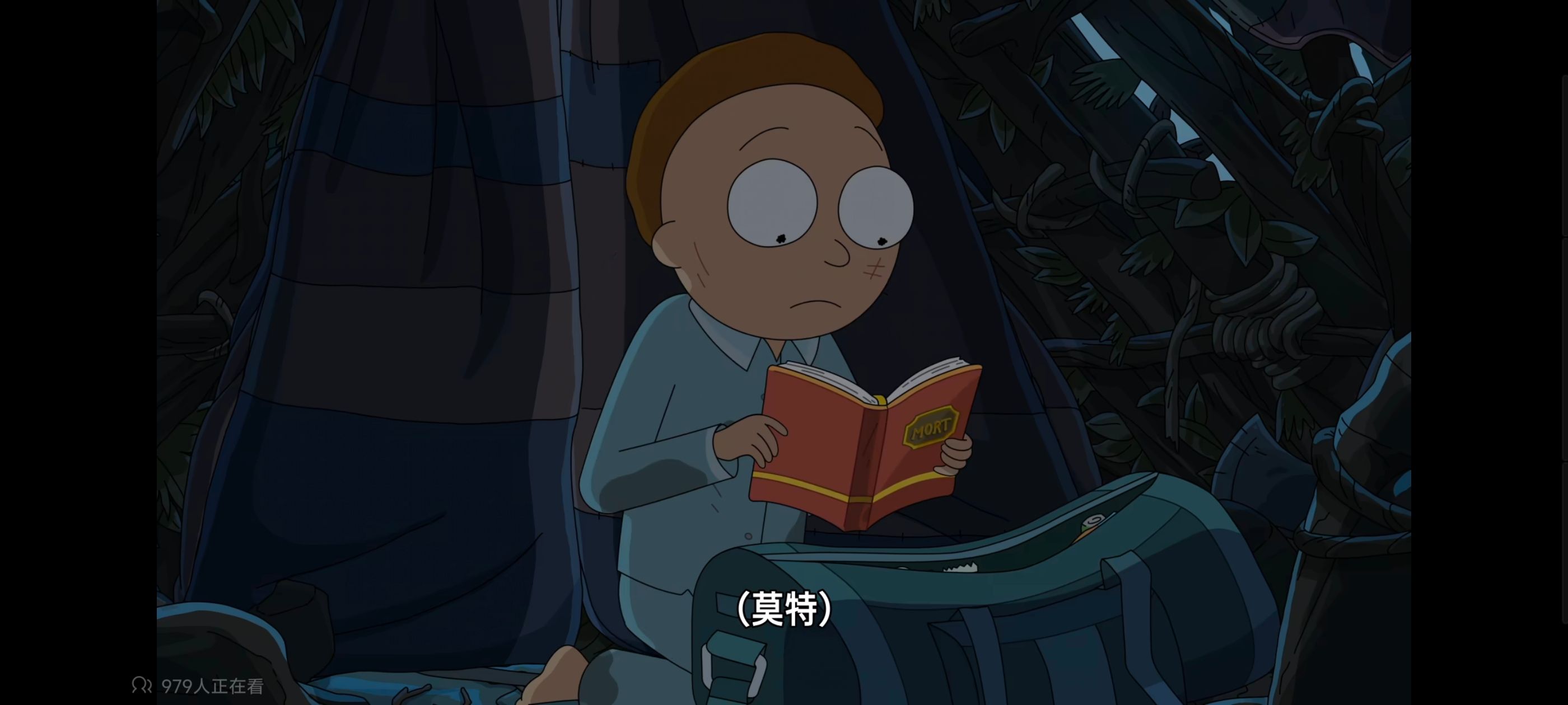 瑞克和莫蒂,瑞克与莫蒂,美漫,动画,动漫,番剧,ACG