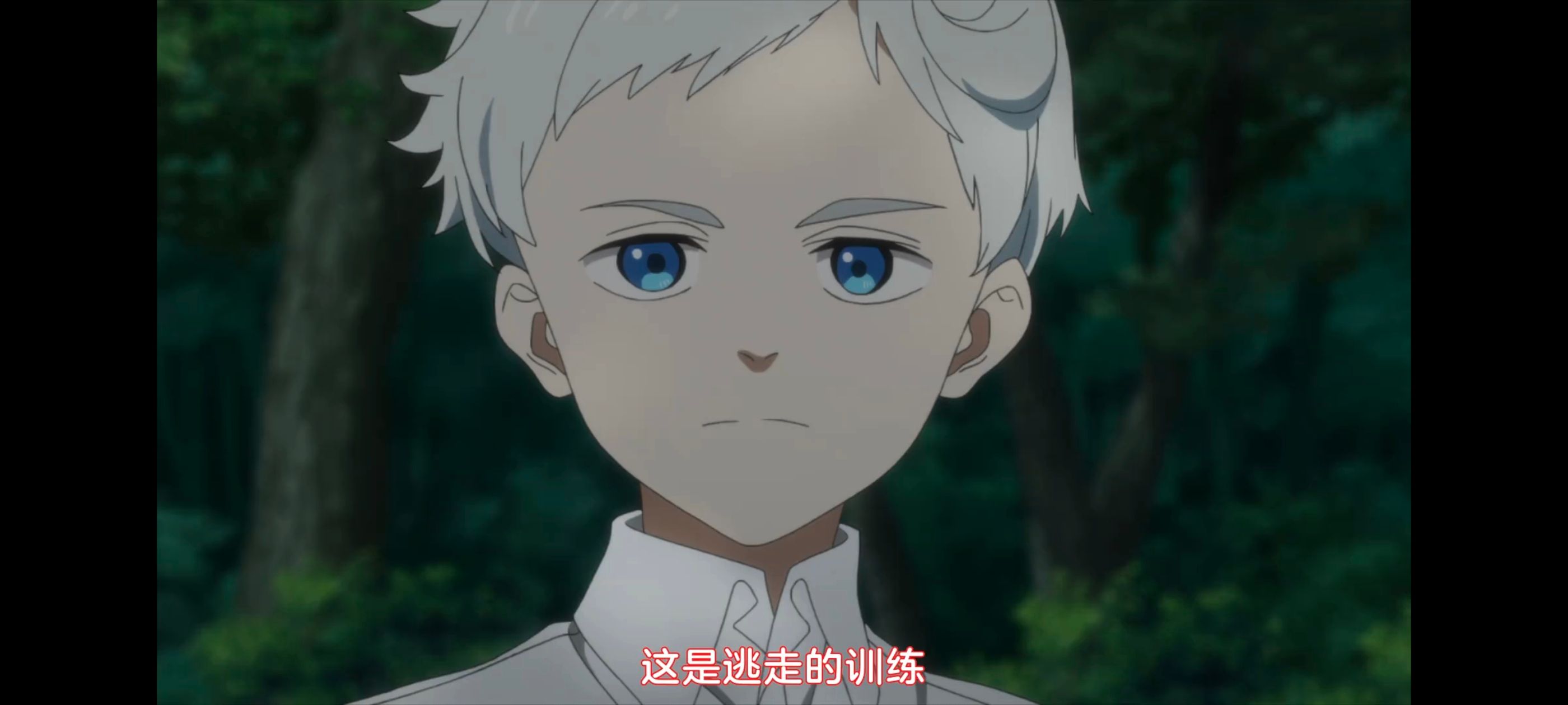 约定的梦幻岛,动画,动漫,番剧,ACG