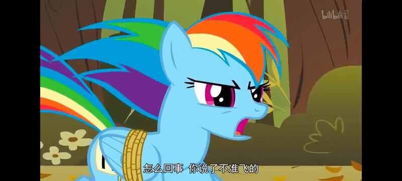 小马宝莉,小马宝莉友谊魔法,彩虹小马,我的小马驹,动画,动漫,番剧,ACG