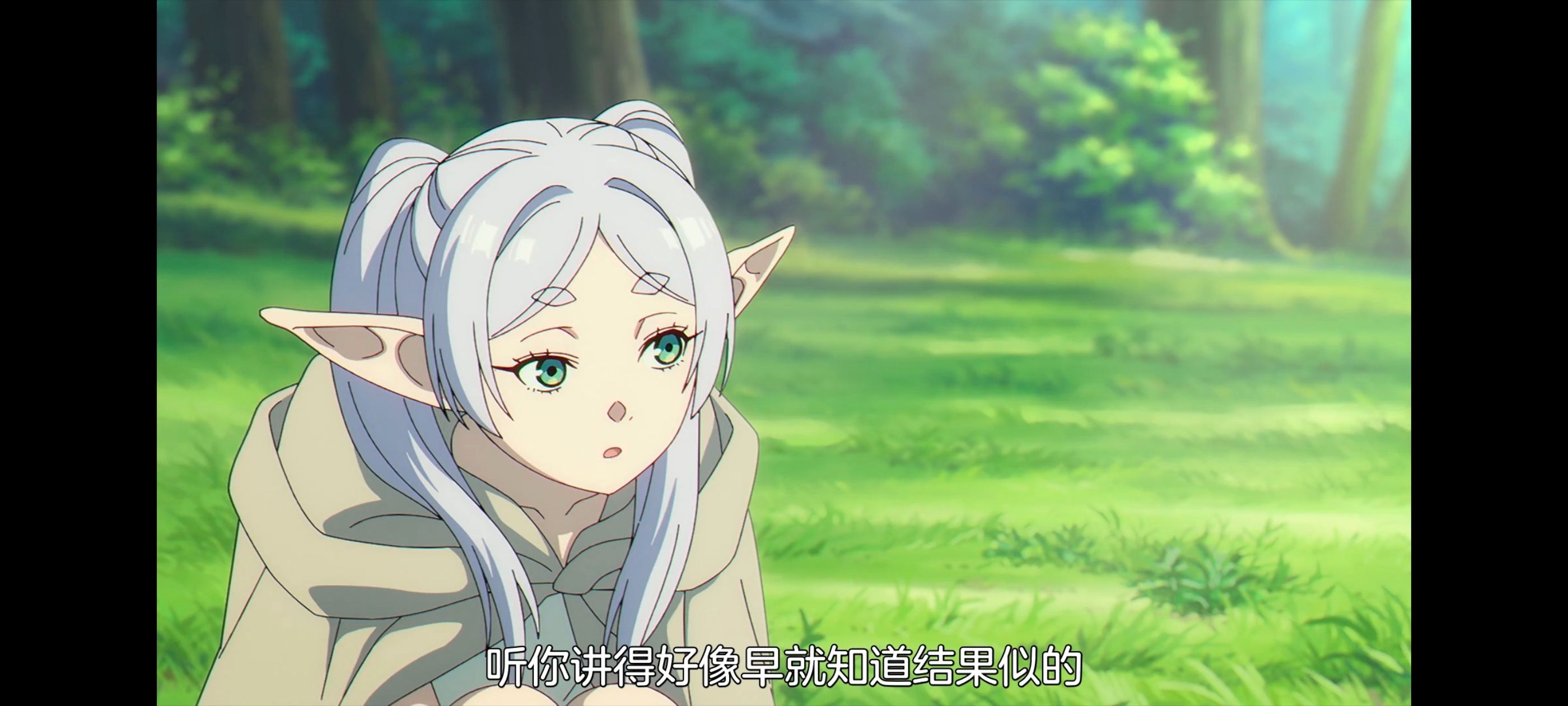 葬送的芙莉莲,动画,动漫,番剧,ACG