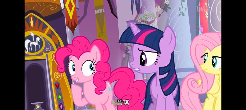 小马宝莉,小马宝莉友谊魔法,彩虹小马,我的小马驹,动画,动漫,番剧,ACG