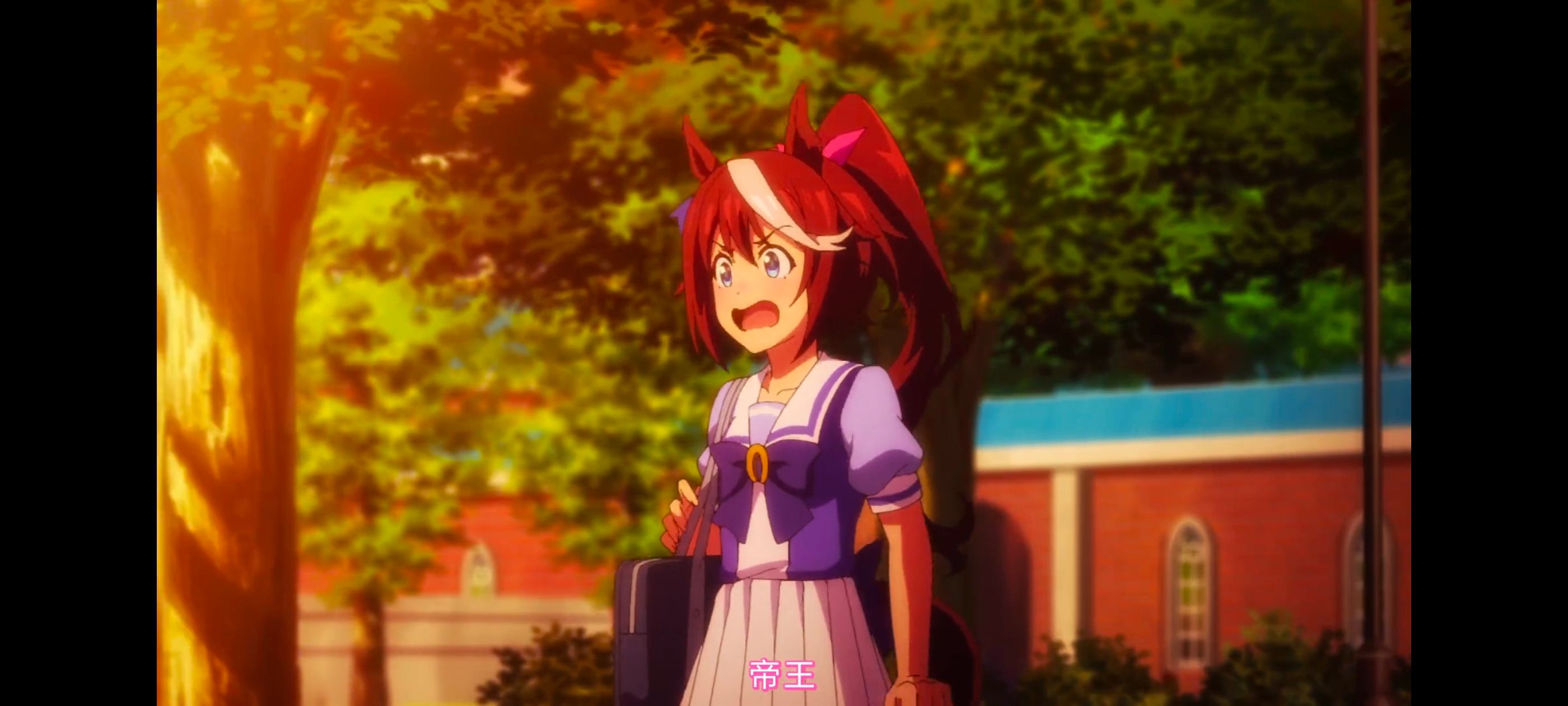 赛马娘,赛马娘PrettyDreby,赛马娘第二季,动画,动漫,番剧,二次元,ACG