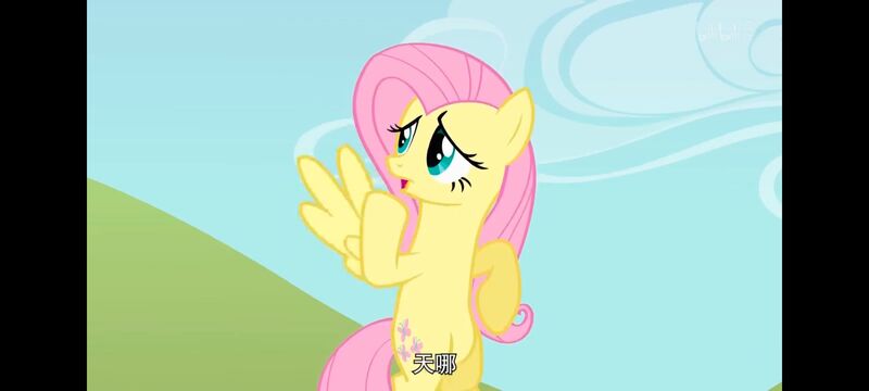 小马宝莉,小马宝莉友谊魔法,彩虹小马,我的小马驹,动画,动漫,番剧,ACG