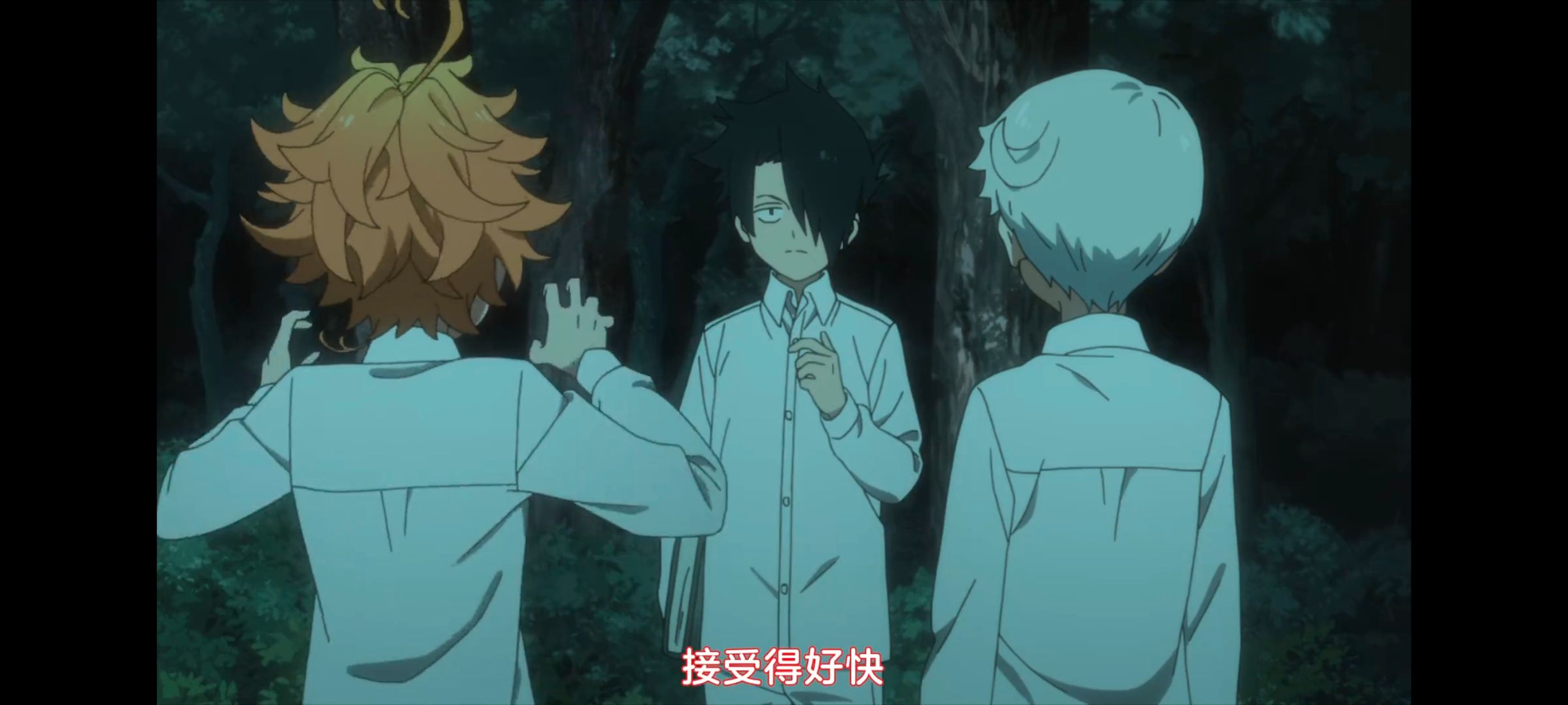 约定的梦幻岛,动画,动漫,番剧,ACG